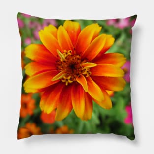 blooming flowers, garden, blooms, meadow Pillow