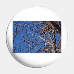 Blue Skies and Fall Tree Pin