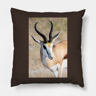 Springbok. Pillow