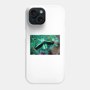 Female Cairns Birdwing Phone Case