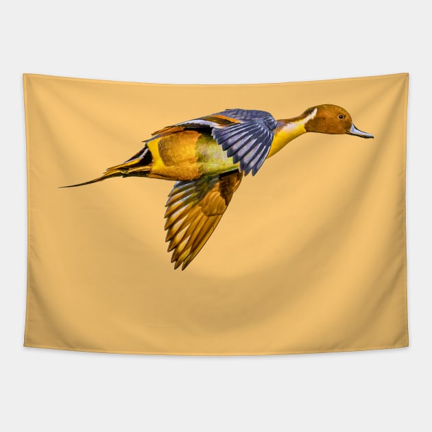 Pintail Sunset Tapestry by dalyndigaital2@gmail.com