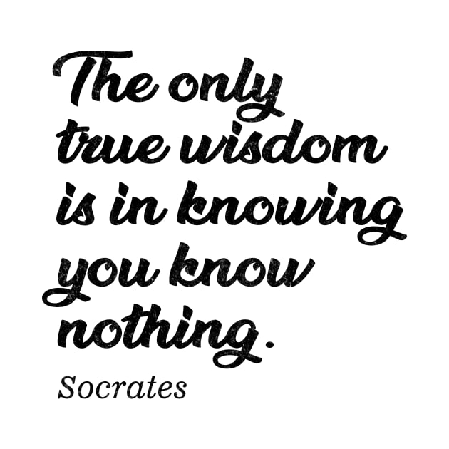 The only true wisdom is in knowing you know nothing - socrates by TerasaBerat