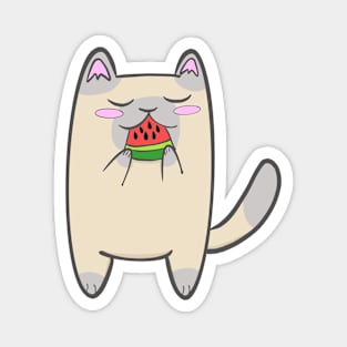 Watermelon Snack Kitty Magnet