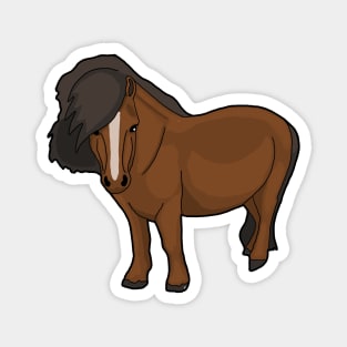 Shetland pony Bay Magnet