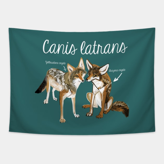 Coyote in love Tapestry by belettelepink