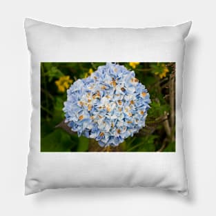 blb hydrangea Pillow