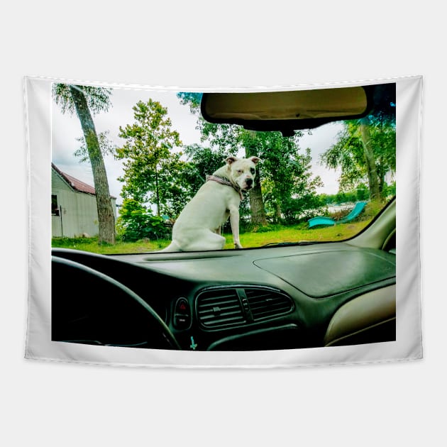 Lilly on car Tapestry by Boog-night