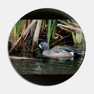 Blue-winged Teal South Texas Pin