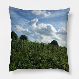 Scenery of beautiful Schleswig-Holstein cloudscape, North Germany Pillow
