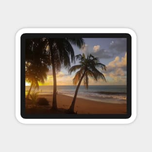 Tropical Ocean Beach Magnet