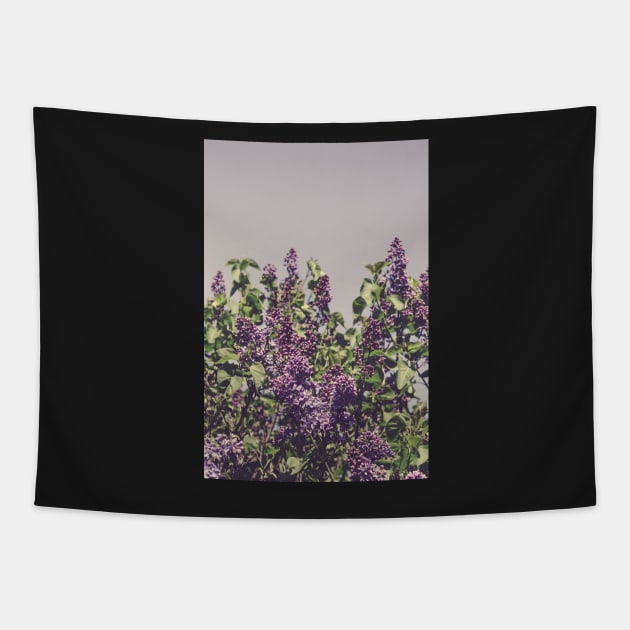 Wild Lilacs Tapestry by oliviastclaire