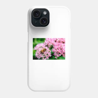 Bee On Stonecrop Flower 2 Phone Case