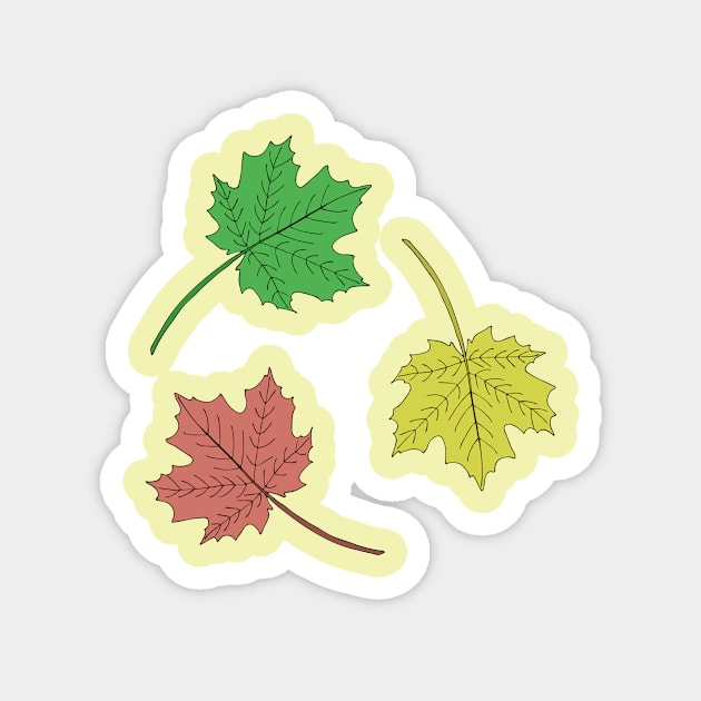 Colored maple leaves. Magnet by Design images