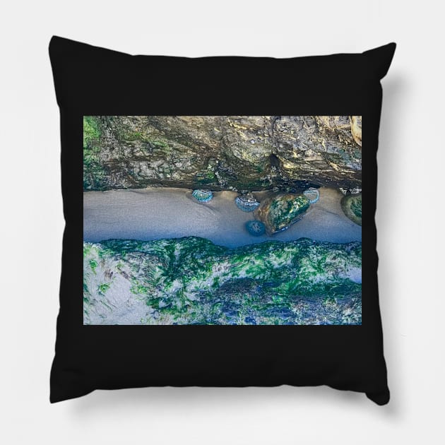 Tide Pools Pillow by ephotocard