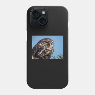 Little owl perched on at tree trunk Phone Case