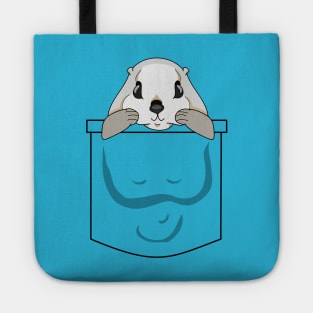 Japanese Flying Squirrel in a Pocket Tote