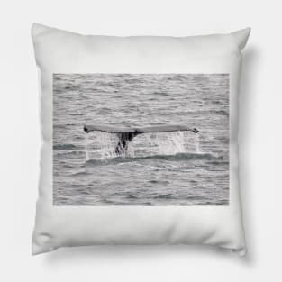 Whale Waterfall Pillow