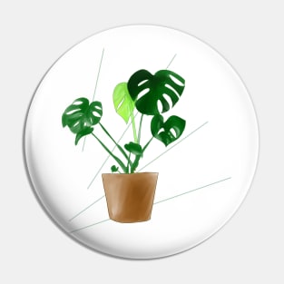 Swiss cheese plant Pin