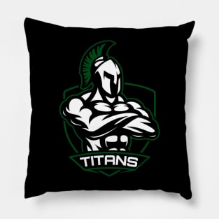 Titans Pillow