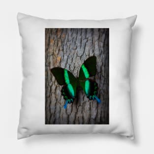 Green Blue Butterfly Resting On Tree Pillow