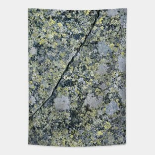 Cracked Stone Tapestry