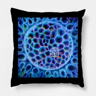 Cell nucleus Pillow