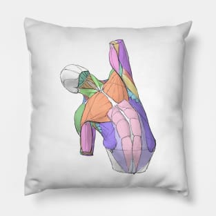 human body anatomy 6 Pillow