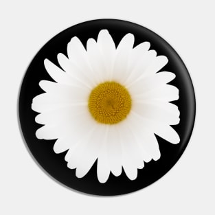 Shasta daisy Pin