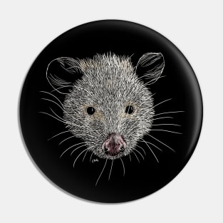 Opossum Pin