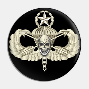 Master Airborne w Crossed Arrows Dagger Skull Pin