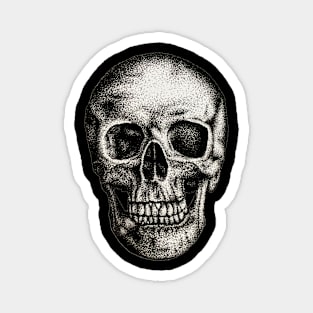 Skull Magnet