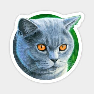 Grey British Shorthair Cat Magnet