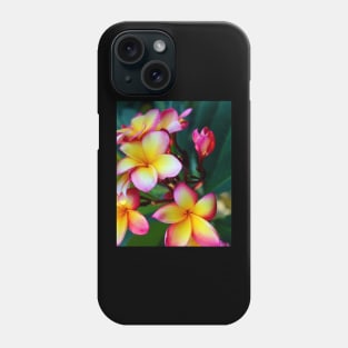 plumeria-flowers-frangipani-floral-blossom-petal-rubra-shirtyshirto-02 Phone Case