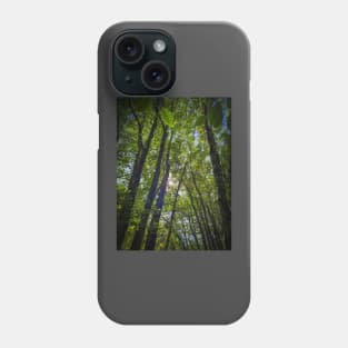 Sunlight through the canopy Phone Case