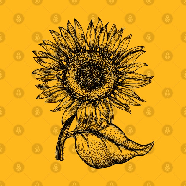 Sunflower Spring Summer Flowers Floral by E