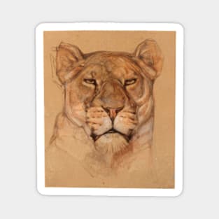 Portrait of a Lioness Magnet