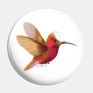 Snowcap Hummingbird Pin