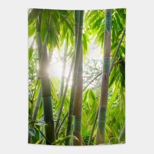 Sun through the Tropical Trees Photograph Tapestry