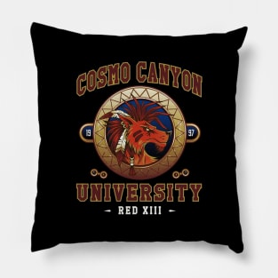 Cosmo Canyon Pillow