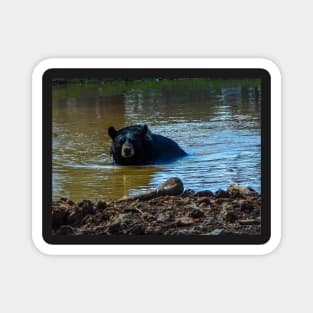 Bear Bath Magnet