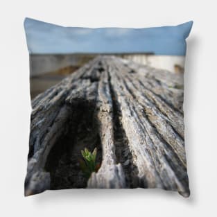 Tenacious Life Pillow