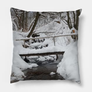 winter time Pillow