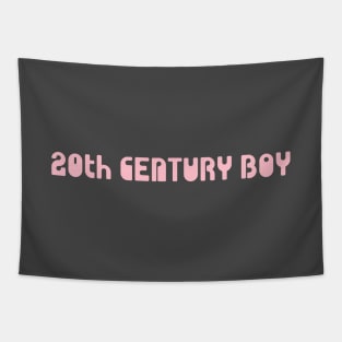 20th Century Boy, pink Tapestry