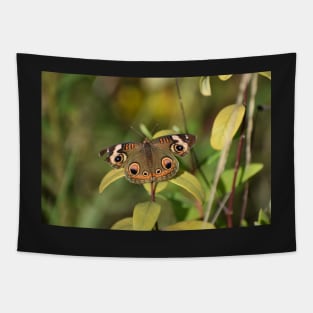 The beauty of a Buckeye Butterfly Tapestry