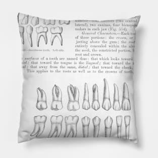Antique Anatomy Papers Neck Gator Teeth Anatomy Dentist Pillow