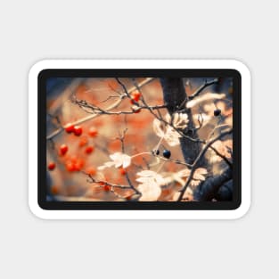 Autumn Forest Magnet