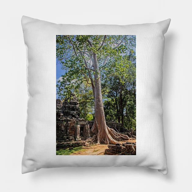 Giant Banyan Tree at Banteay Kdei Pillow by BrianPShaw