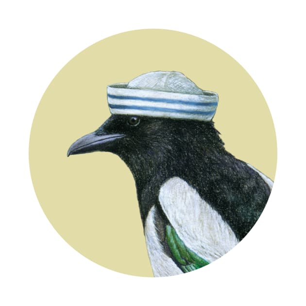 Eurasian magpie by Mikhail Vedernikov