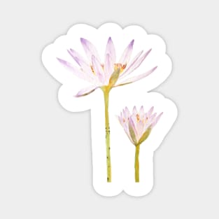 2 purple waterlily watercolor Magnet