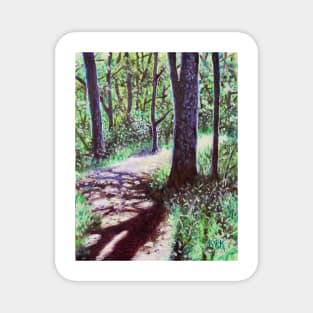 'Sunlight on the Trail' Magnet